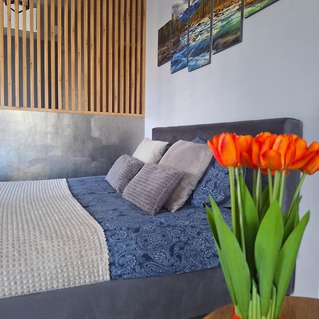 Apartament Gorska Szarotka Nowy Targ Exterior foto